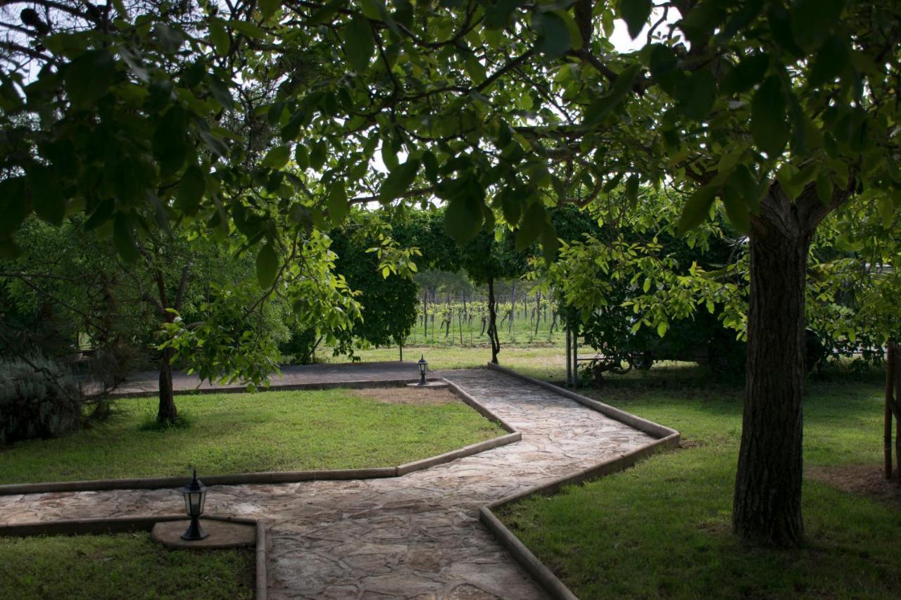Sanja Apartments Sveti Servul Novigrad Istria Exteriör bild