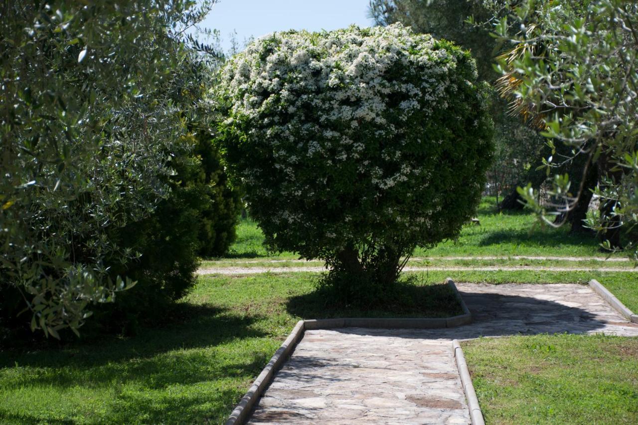 Sanja Apartments Sveti Servul Novigrad Istria Exteriör bild
